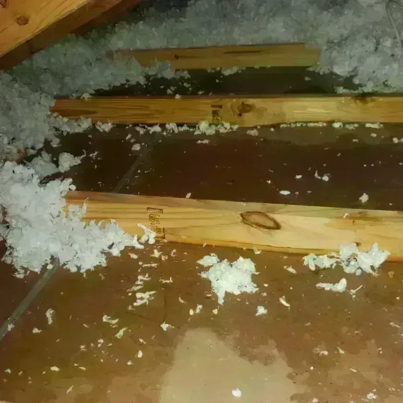 Attic Water Damage in Morton, WA