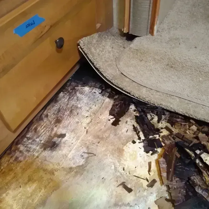 Wood Floor Water Damage in Morton, WA